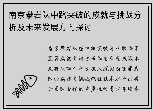 南京攀岩队中路突破的成就与挑战分析及未来发展方向探讨